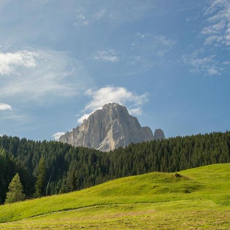 Villa Insam Selva di Val Gardena Exterior photo